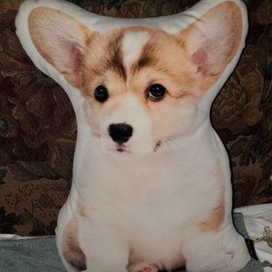 Corgi pillow